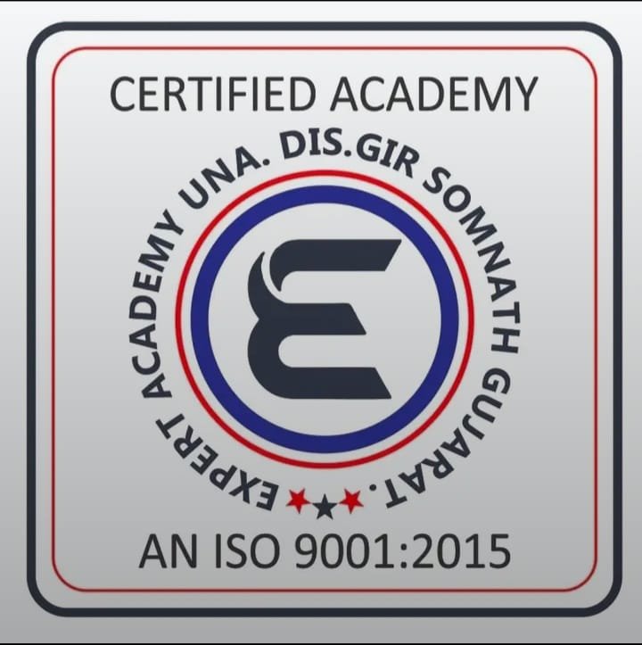 EXPERT ACADEMY  logo